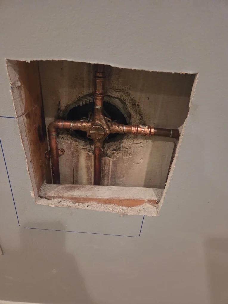 Toilet installation prepared for a bathroom remodel